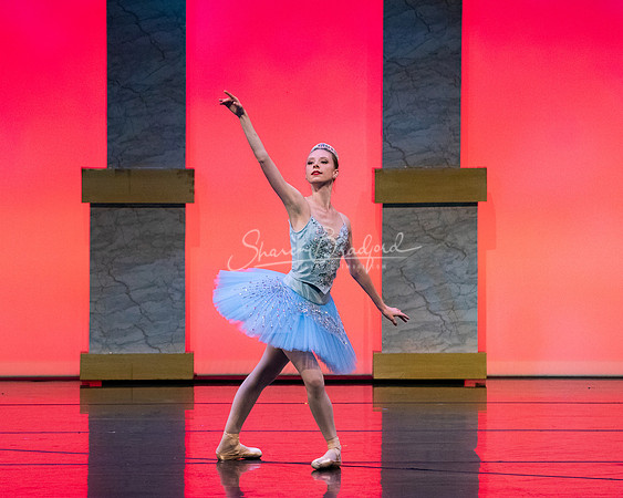 Ballet NTX Sleeping Beauty pc Sharen Bradford-0135