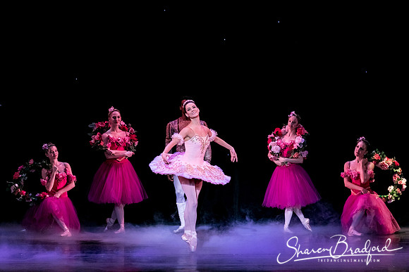 Nutcracker matinee pc Sharen Bradford-5325