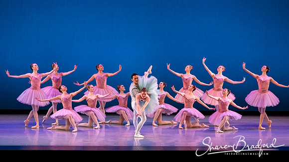Raymonda Variations pc Sharen Bradford-3006