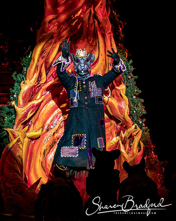 Nutcracker matinee pc Sharen Bradford-4764