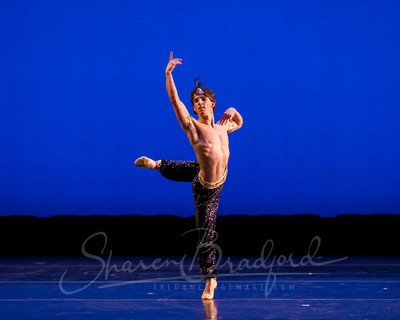 Le Corsaire TITAS CP 2015-1561