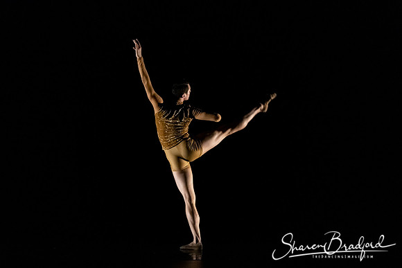ASFB Beautiful Decay pc Sharen Bradford-0148