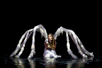 Momix ALICE 9-17-21 pc Sharen Bradford-2426