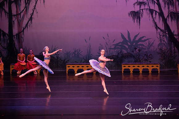 TDC La Bayadere pc Sharen Bradford-3060