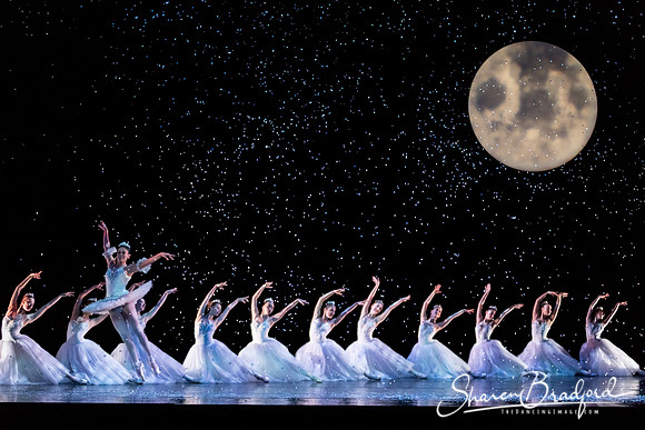 ASFB Nutcracker pc Sharen Bradford-0224
