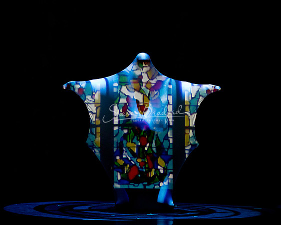 Momix ALICE 9-17-21 pc Sharen Bradford-2442
