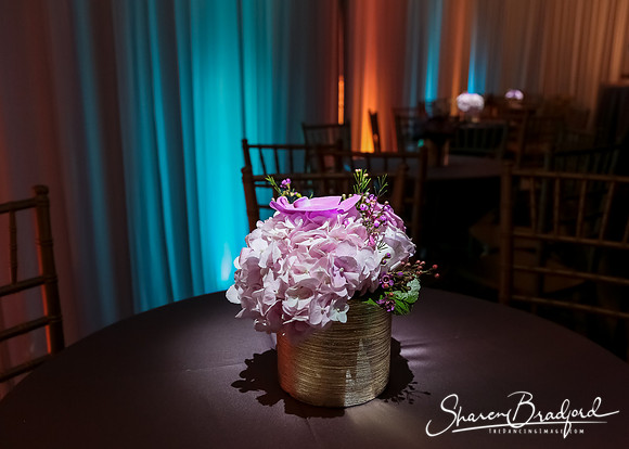 BWD Gala 2019 pc Sharen Bradford-0146