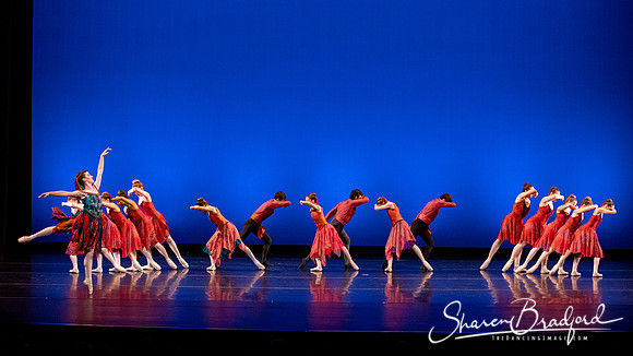 Dallas Ballet Company pc Sharen Bradford-3259