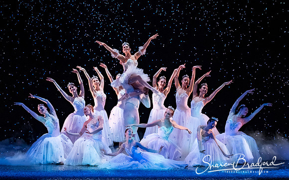Nutcracker matinee pc Sharen Bradford-5269