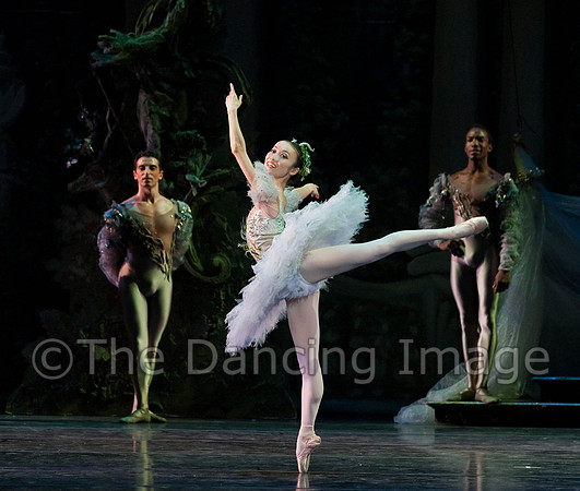 TB Sleeping Beauty Wed.-0019