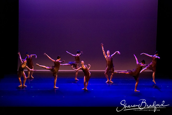Ballet Dallas Seasons pc Sharen Bradford-1517