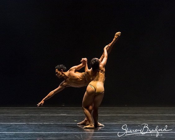 Bach 25_pc Sharen Bradford-2-50