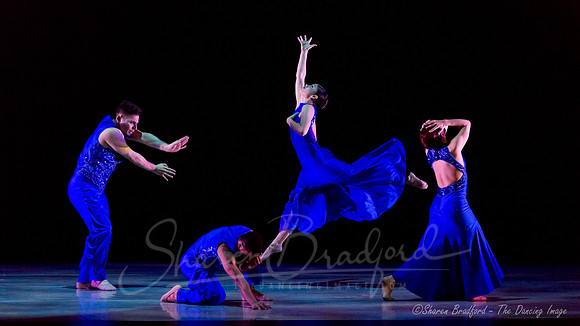 Following Echoes - pc Sharen Bradford-0819