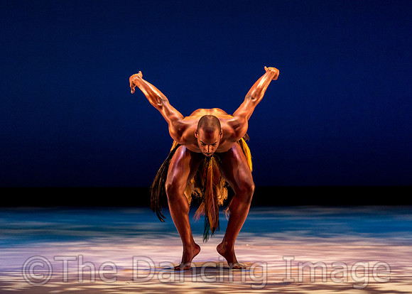 Awassa Astrige Ostrich-0332