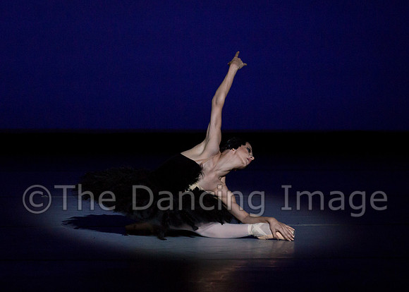 Olga Pavlova_The Dying Swan-3946