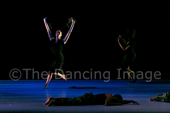 DBDT II-0835
