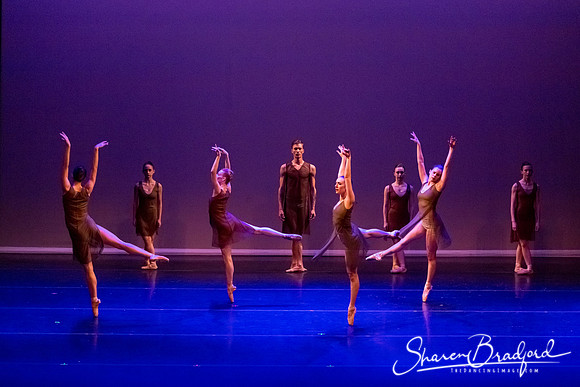 Ballet Dallas Seasons pc Sharen Bradford-1439