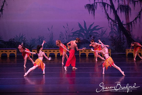 TDC La Bayadere pc Sharen Bradford-3026
