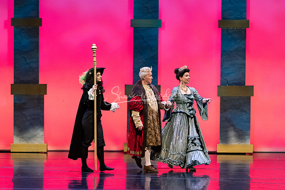 Ballet NTX Sleeping Beauty pc Sharen Bradford-1627
