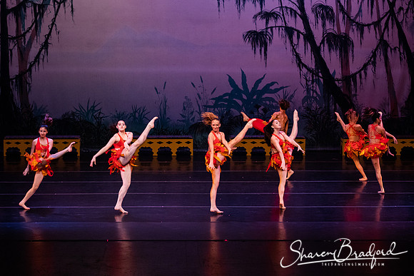 TDC La Bayadere pc Sharen Bradford-2959