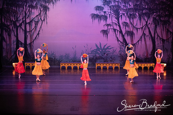 TDC La Bayadere pc Sharen Bradford-2863