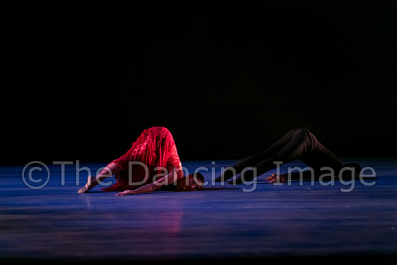 Chado Danse-2815