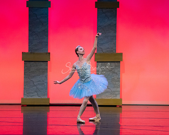 Ballet NTX Sleeping Beauty pc Sharen Bradford-0132