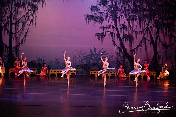 TDC La Bayadere pc Sharen Bradford-3205