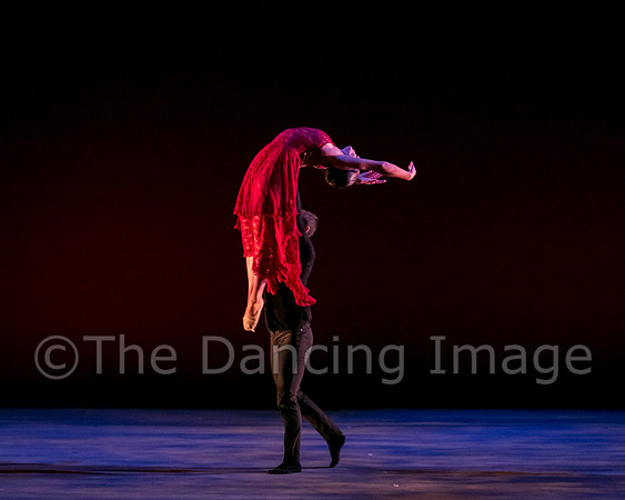 Chado Danse-2853