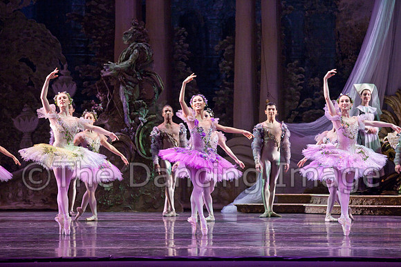 TB Sleeping Beauty Wed.-0101