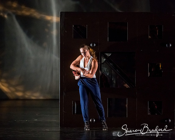 DIAVOLO - Voyage pc Sharen Bradford-0375