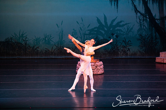 TDC La Bayadere pc Sharen Bradford-2591