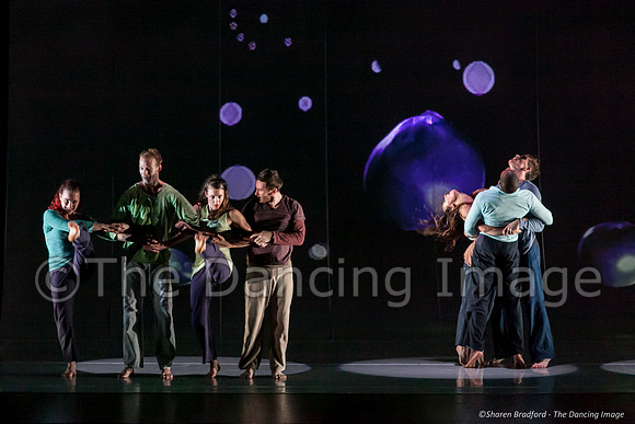 Motionhouse SCATTERED-0812