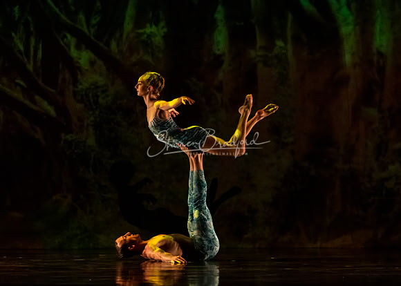 MOMIX Alice pc Sharen Bradford-0920