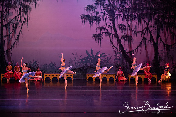 TDC La Bayadere pc Sharen Bradford-3222