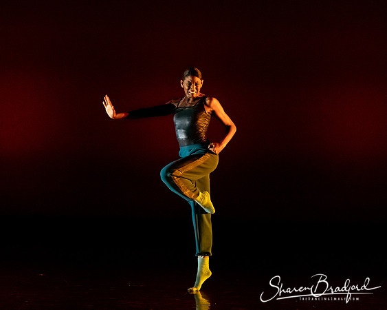 Snap pc Sharen Bradford-0329