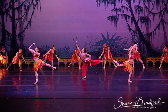 TDC La Bayadere pc Sharen Bradford-3008