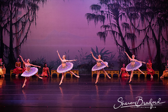 TDC La Bayadere pc Sharen Bradford-3221