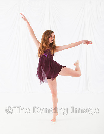 Moen_1396