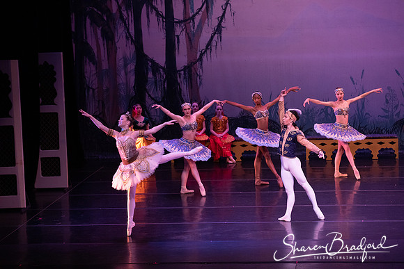 TDC La Bayadere pc Sharen Bradford-3140