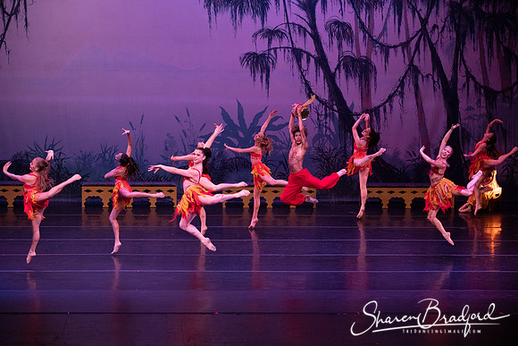 TDC La Bayadere pc Sharen Bradford-3020
