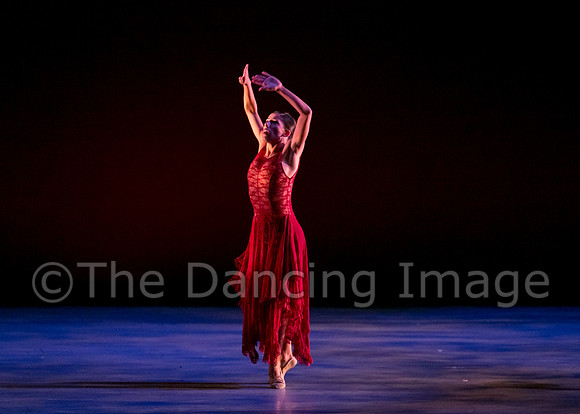 Chado Danse-2868