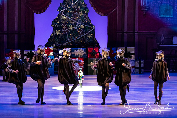 CCBT Nutcracker 19 pc Sharen Bradford-4400