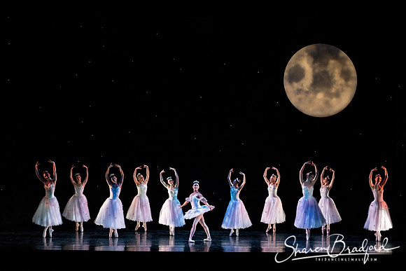 Nutcracker matinee pc Sharen Bradford-5118