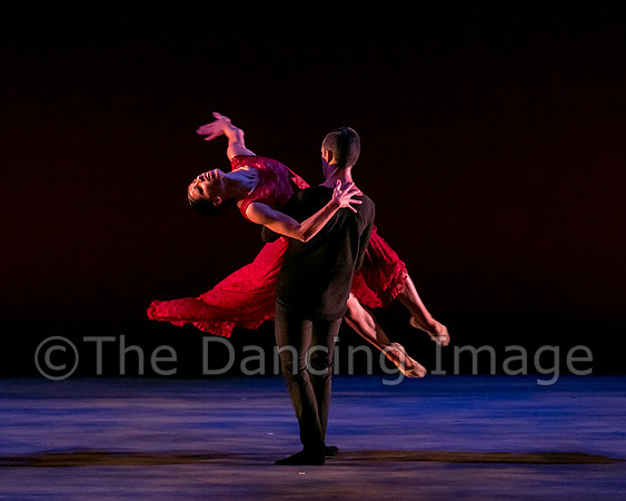 Chado Danse-2943