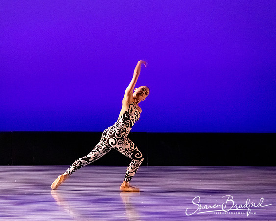 Ballet 37 pc Sharen Bradford-0491