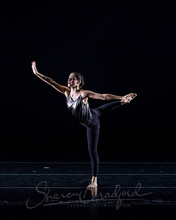 Bombshell Dance Project pc Sharen Bradford-1114
