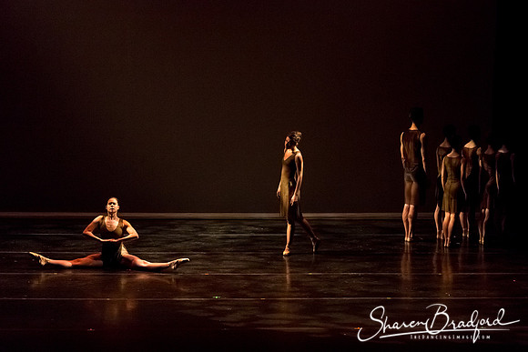 Ballet Dallas Seasons pc Sharen Bradford-1353