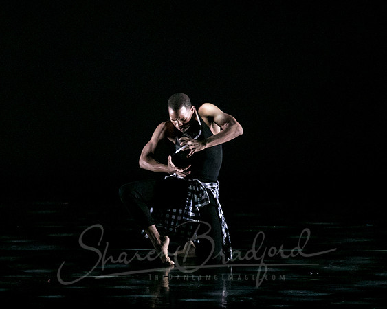 DBDT pc Sharen Bradford-2866