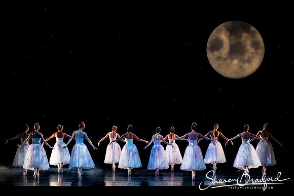 Nutcracker matinee pc Sharen Bradford-5076